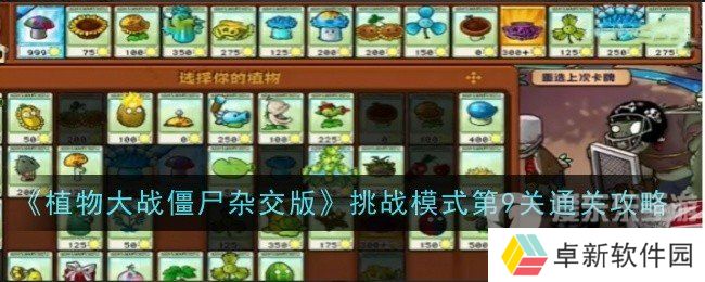 植物大战僵尸杂交版挑战模式第9关怎么过 挑战模式第9关通关方法