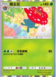 宝可梦TCG Pocket卡牌图鉴