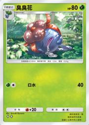 宝可梦TCG Pocket卡牌图鉴