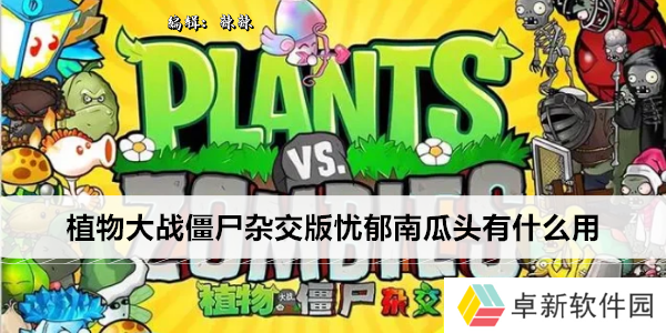 植物大战僵尸杂交版忧郁南瓜头有什么用